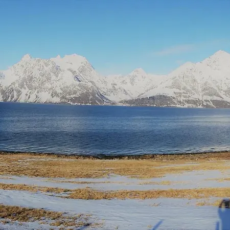 Дом отдыха Lyngenview Rotsund