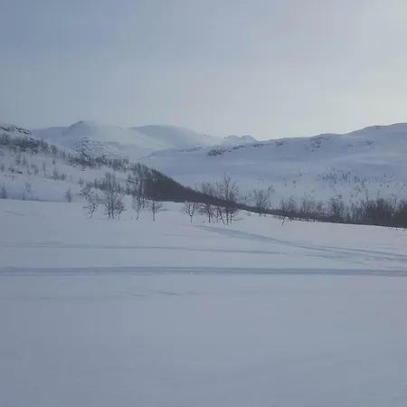 Lyngenview