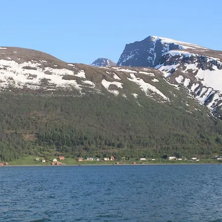 Lyngenview * Rotsund